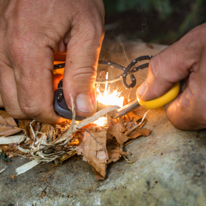 Ignite Your Performance