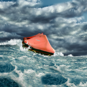 Navigating Change
